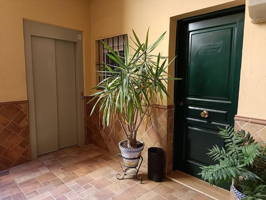 Triana Stay Sevilla Exterior foto